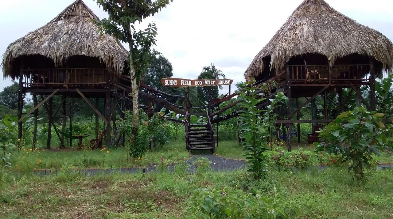 Villa Sunny Field Eco Stilt House Cat Tien Exterior foto